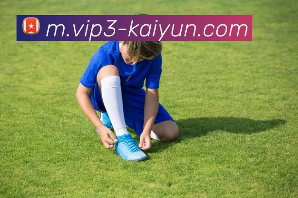 开云体育平台生态图