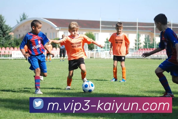 开云体育APP 封面图